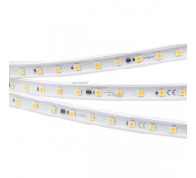 Лента Arlight 029402