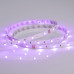 Сделать заказ Лента Arlight 022066(1)| VIVID-LIGHT.RU