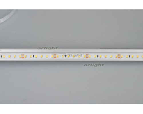 Купить Лента Arlight 024570(2)| VIVID-LIGHT.RU