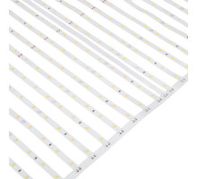 Лента Arlight 036311