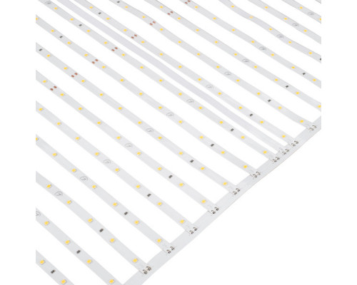 Заказать Лента Arlight 036311| VIVID-LIGHT.RU