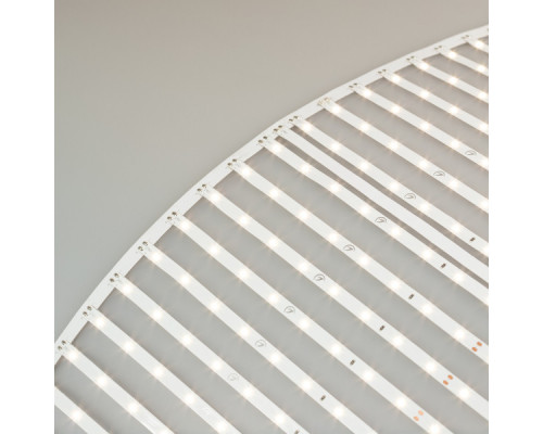 Заказать Лента Arlight 027120(2)| VIVID-LIGHT.RU