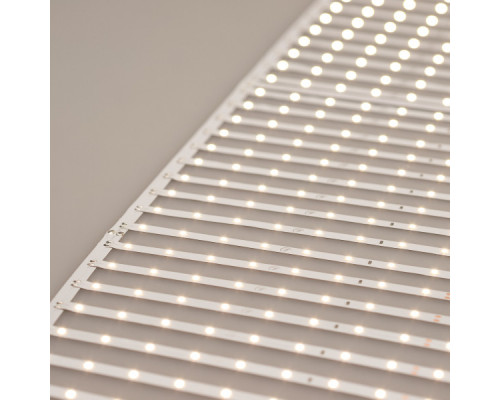 Заказать Лента Arlight 027120(2)| VIVID-LIGHT.RU