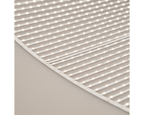 Заказать Лента Arlight 027120(2)| VIVID-LIGHT.RU