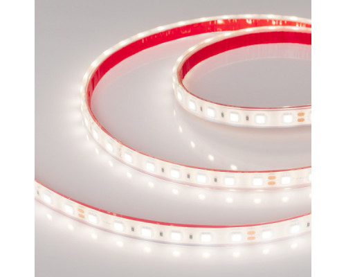 Заказать Лента Arlight 036462| VIVID-LIGHT.RU