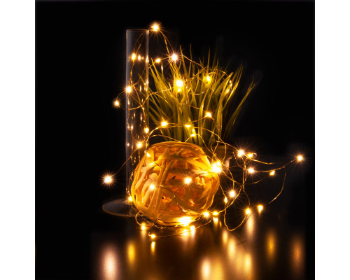 Оформить заказ Светодиодная нить Eurosvet 400-007 теплый белый 5м IP20| VIVID-LIGHT.RU