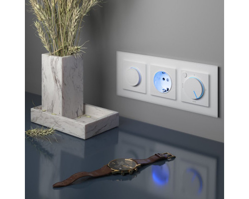 Заказать W1151101/ Электроустановочные изделия - Терморегулятор электромеханический для теплого пола (белый)| VIVID-LIGHT.RU