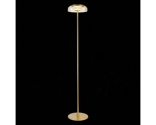 Купить Торшер ST-Luce SL6002.205.01| VIVID-LIGHT.RU