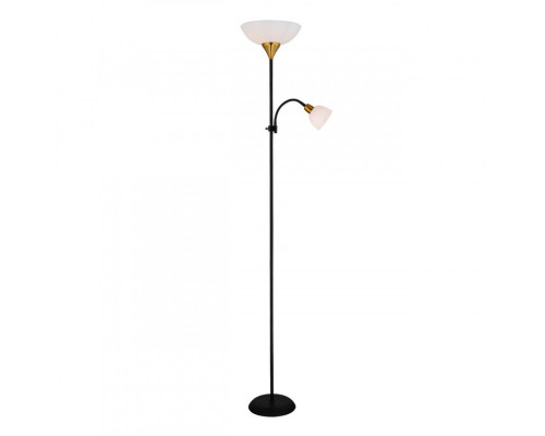 Купить Торшер ARTE Lamp A9569PN-2BK| VIVID-LIGHT.RU
