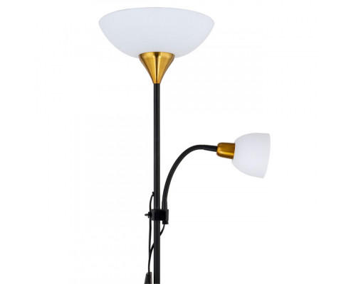Купить Торшер ARTE Lamp A9569PN-2BK| VIVID-LIGHT.RU