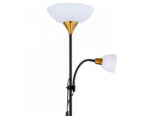 Купить Торшер ARTE Lamp A9569PN-2BK| VIVID-LIGHT.RU