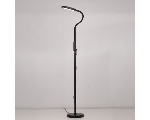 Купить Торшер Citilux CL804021| VIVID-LIGHT.RU