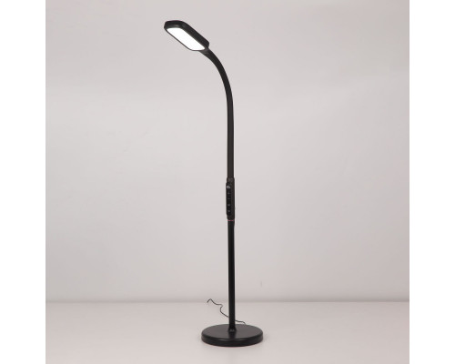 Купить Торшер Citilux CL804021| VIVID-LIGHT.RU