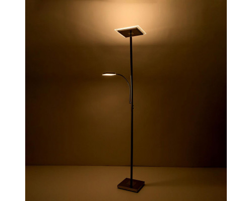 Заказать Торшер Citilux CL802011| VIVID-LIGHT.RU