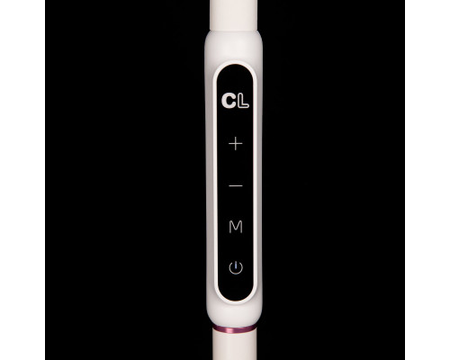 Купить Торшер Citilux CL804020| VIVID-LIGHT.RU