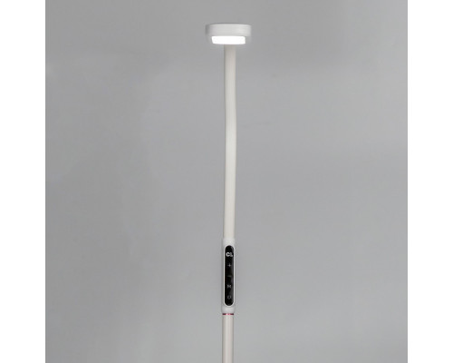 Купить Торшер Citilux CL804020| VIVID-LIGHT.RU