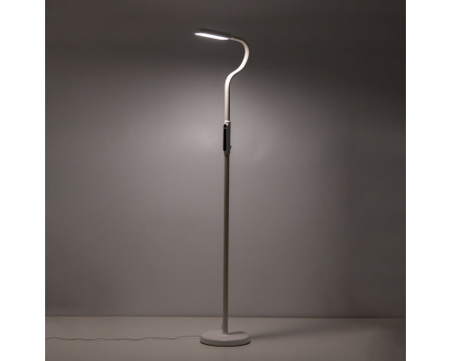 Купить Торшер Citilux CL804020| VIVID-LIGHT.RU