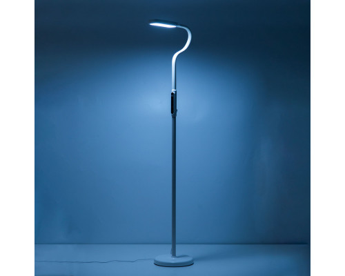 Купить Торшер Citilux CL804020| VIVID-LIGHT.RU