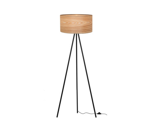 Заказать Торшер LOFT IT 1700-FBK+LW| VIVID-LIGHT.RU