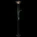 Купить Торшер ARTE Lamp A4329PN-2CC| VIVID-LIGHT.RU