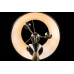 Купить Торшер ARTE Lamp A3579PN-3AB| VIVID-LIGHT.RU