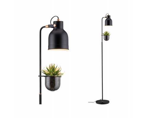 Сделать заказ Торшер Paulmann 79747| VIVID-LIGHT.RU