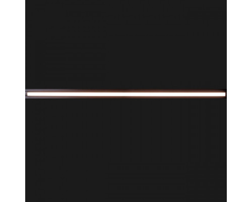 Сделать заказ Светильник на шине LOFT IT T004-30| VIVID-LIGHT.RU