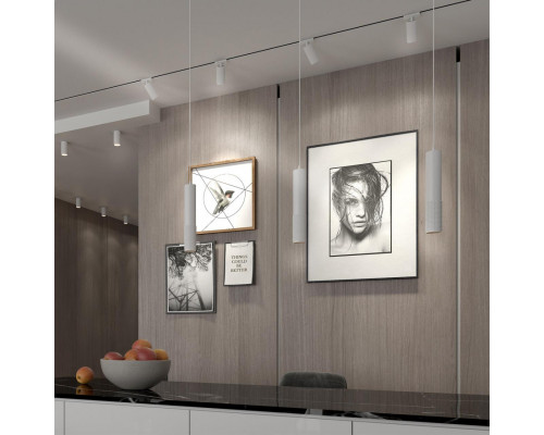 Оформить заказ Светильник на шине Novotech 370767| VIVID-LIGHT.RU