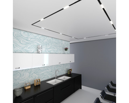 Заказать Светильник на шине Elektrostandard Slim Magnetic WL01 Трековый светильник 6W 4200K (черный) 850| VIVID-LIGHT.RU