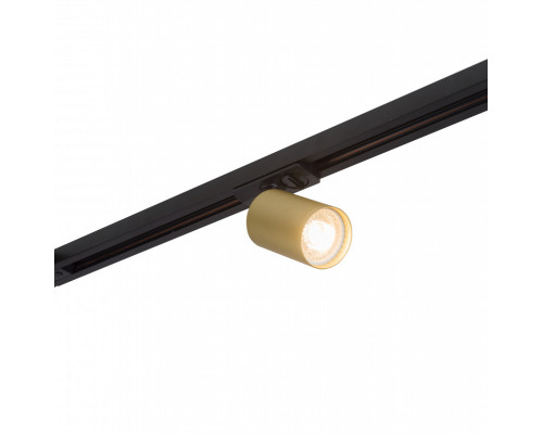 Купить Светильник на шине Denkirs DK6201-BG| VIVID-LIGHT.RU
