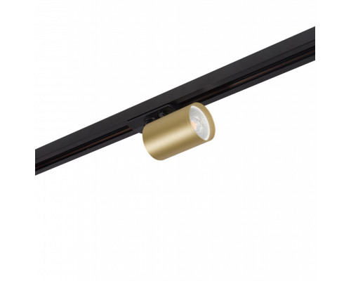 Купить Светильник на шине Denkirs DK6201-BG| VIVID-LIGHT.RU