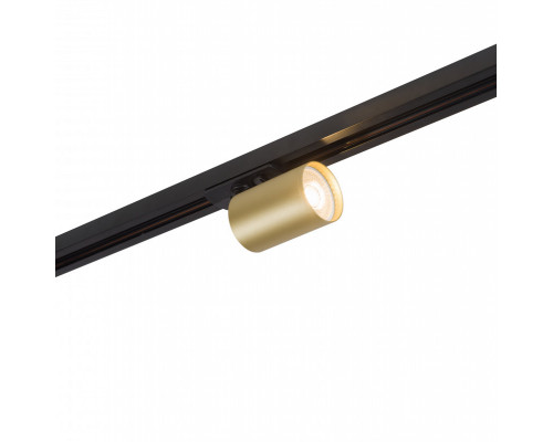 Купить Светильник на шине Denkirs DK6201-BG| VIVID-LIGHT.RU