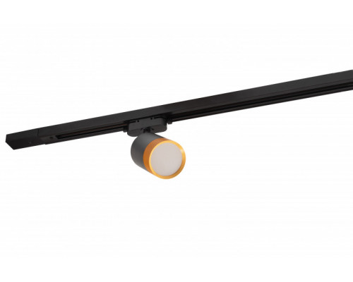 Сделать заказ Светильник на шине Denkirs DK6405-BG| VIVID-LIGHT.RU
