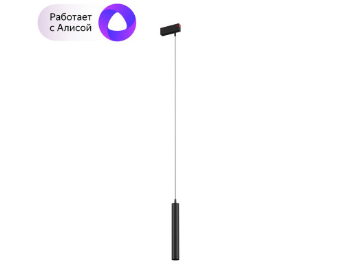 Купить Светильник на шине Denkirs DK8008-BK| VIVID-LIGHT.RU