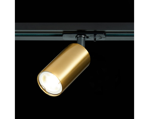 Сделать заказ Светильник на шине ST-Luce ST300.206.01| VIVID-LIGHT.RU