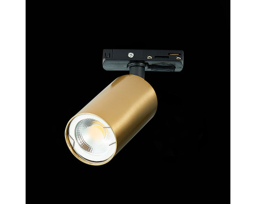 Сделать заказ Светильник на шине ST-Luce ST300.206.01| VIVID-LIGHT.RU