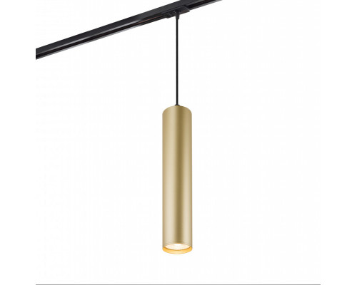 Сделать заказ Светильник на шине Denkirs DK6210-BG| VIVID-LIGHT.RU