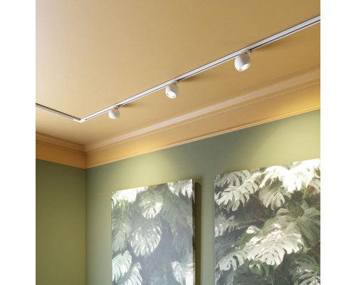 Оформить заказ Светильник на шине Novotech 358353| VIVID-LIGHT.RU