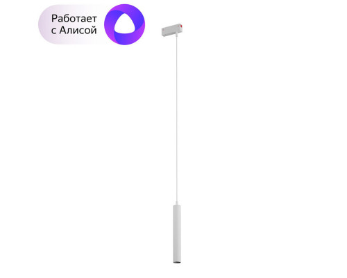 Заказать Светильник на шине Denkirs DK8008-WH| VIVID-LIGHT.RU