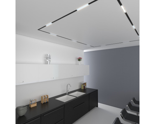 Сделать заказ Светильник на шине Elektrostandard Slim Magnetic SL02 Трековый светильник 12W 4200K (черный) 85| VIVID-LIGHT.RU