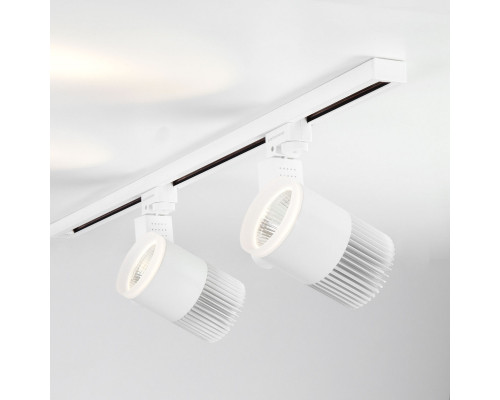 Оформить заказ Светильник на шине Elektrostandard Accord Белый 30W 4200K (LTB43) трехфазный| VIVID-LIGHT.RU