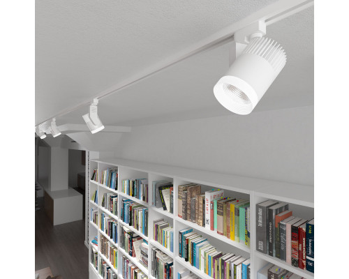 Оформить заказ Светильник на шине Elektrostandard Accord Белый 30W 4200K (LTB43) трехфазный| VIVID-LIGHT.RU