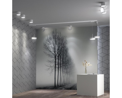 Оформить заказ Светильник на шине Novotech 358767| VIVID-LIGHT.RU