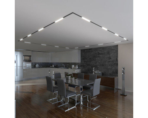 Сделать заказ Светильник на шине Elektrostandard Slim Magnetic L01 Трековый светильник 10W 4200K (черный) 850| VIVID-LIGHT.RU