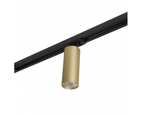 Купить Светильник на шине Denkirs DK6202-BG| VIVID-LIGHT.RU