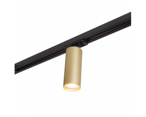 Купить Светильник на шине Denkirs DK6202-BG| VIVID-LIGHT.RU