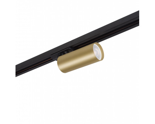 Купить Светильник на шине Denkirs DK6202-BG| VIVID-LIGHT.RU