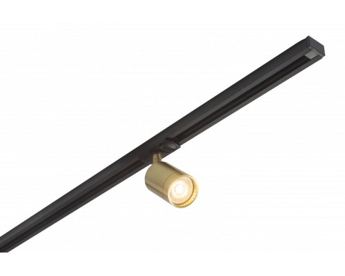 Заказать Светильник на шине Denkirs DK6201-BS| VIVID-LIGHT.RU