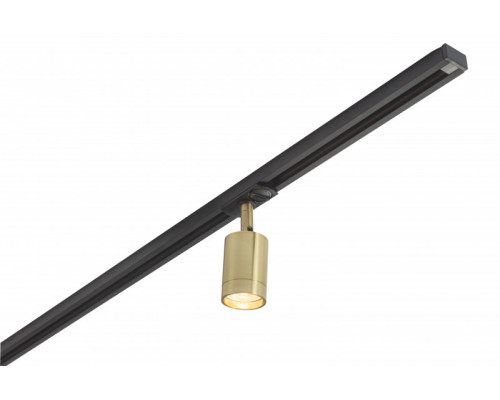 Заказать Светильник на шине Denkirs DK6201-BS| VIVID-LIGHT.RU