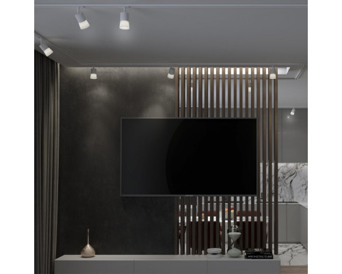 Оформить заказ Светильник на шине Novotech 370903| VIVID-LIGHT.RU